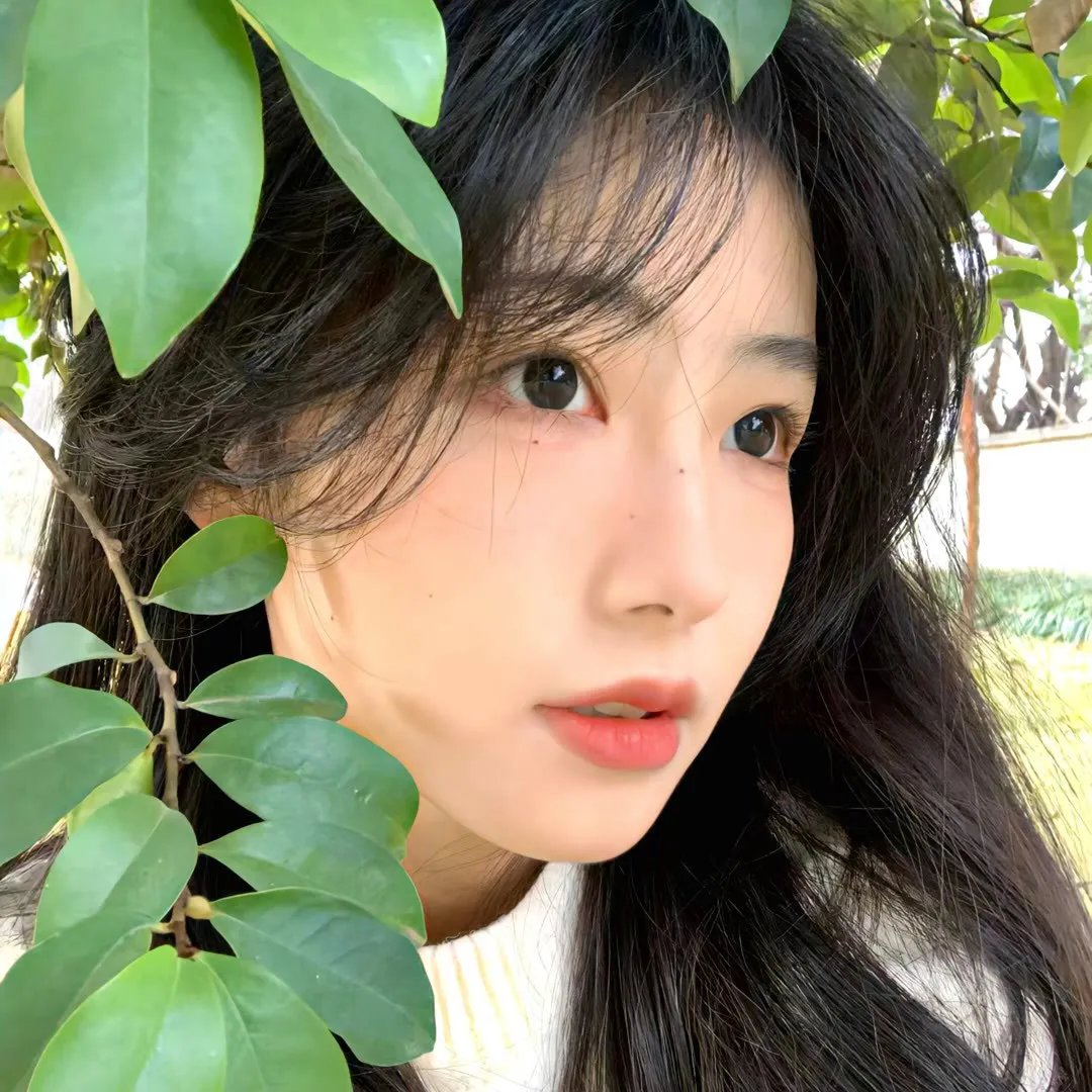 月亮女孩